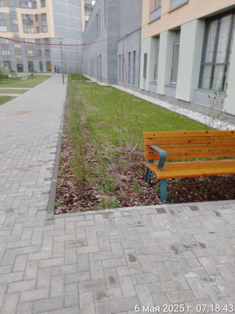 уборка май.jpg