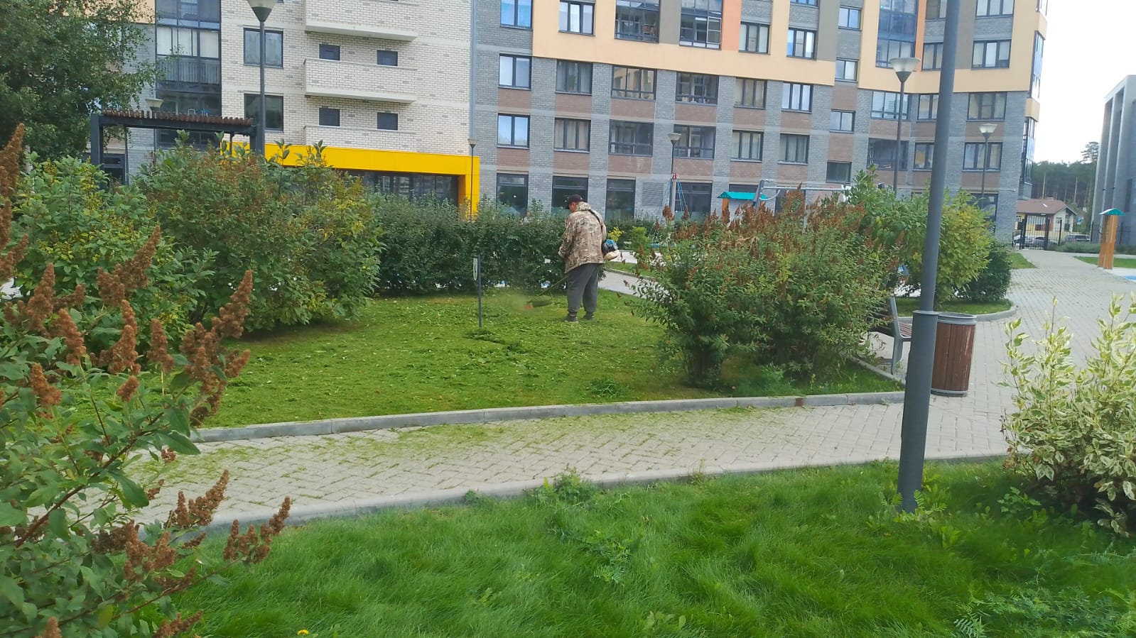 Покос август 3.jpg
