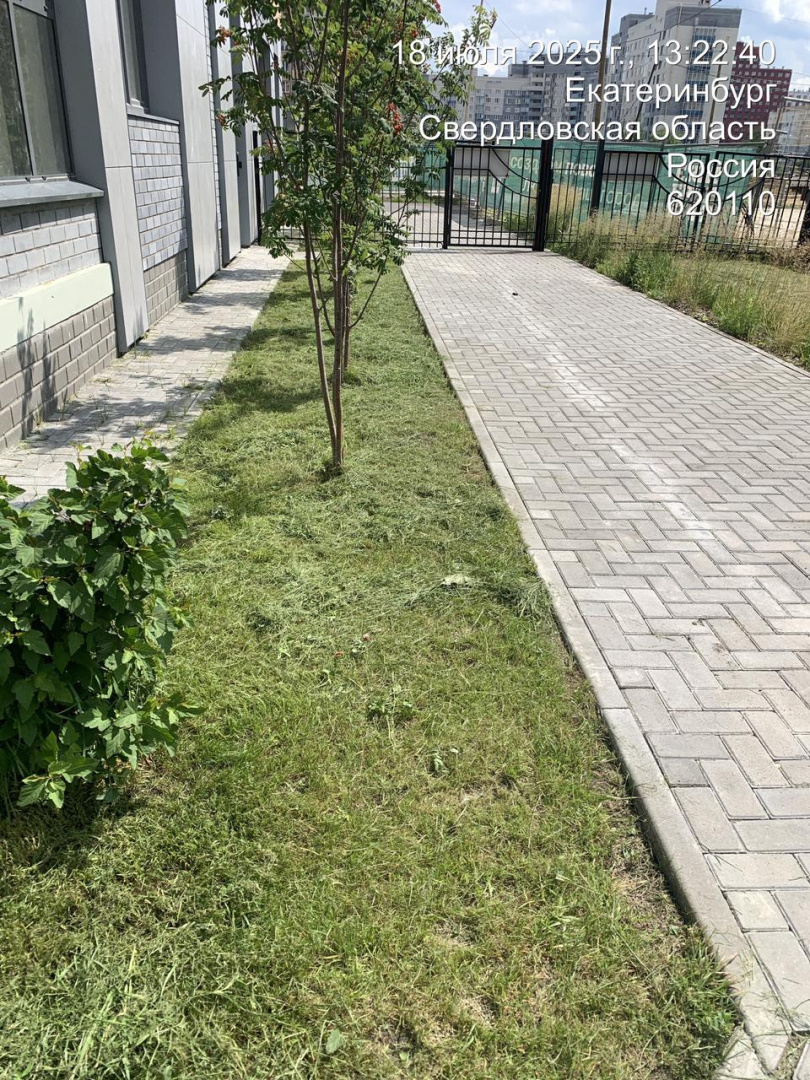 Покос июль 2 (1).jpg