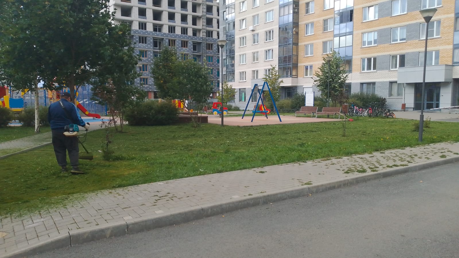 Покос август 1 (1).jpg
